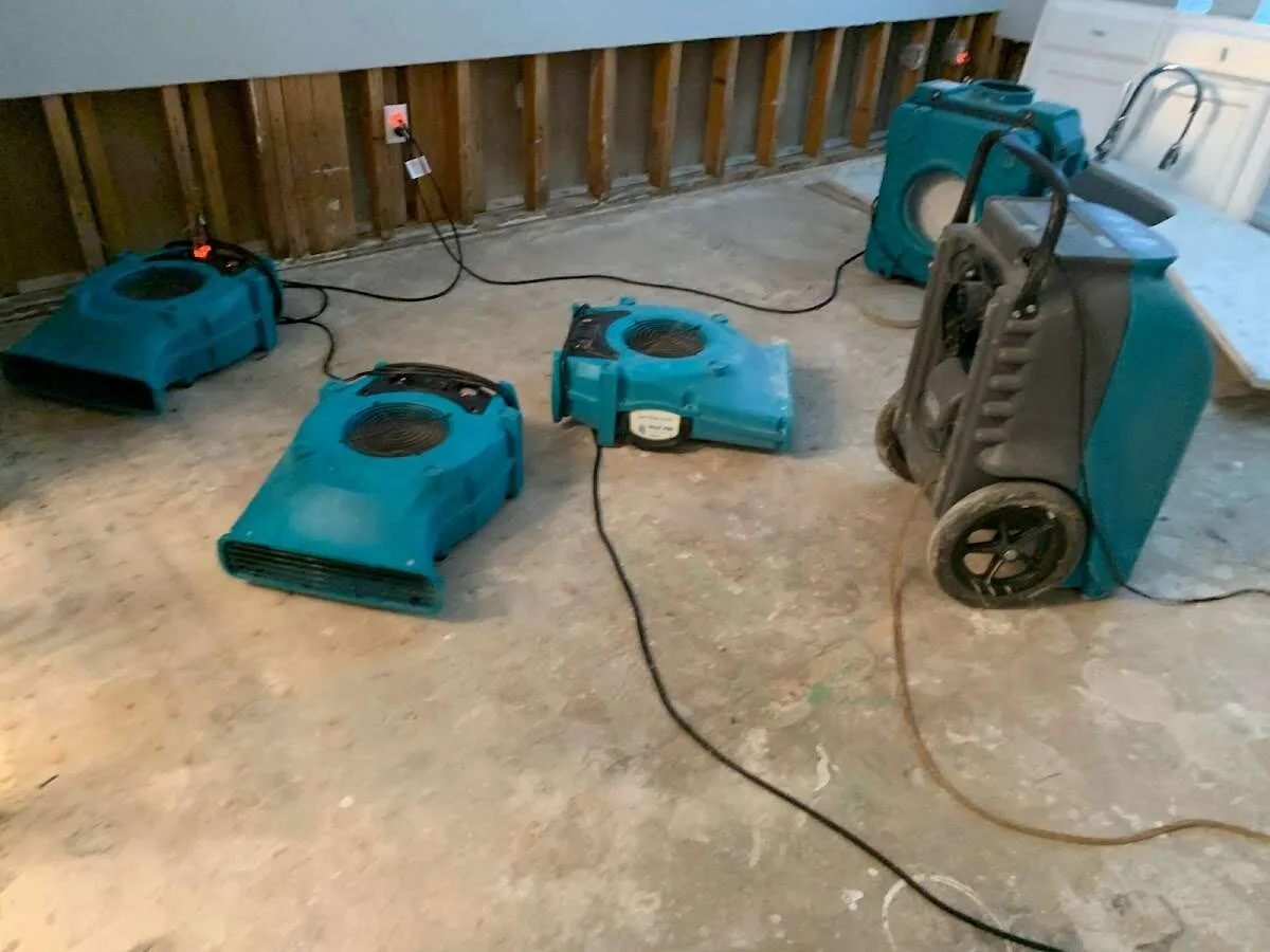Commercial Water Damage Restoration in Milford, DE